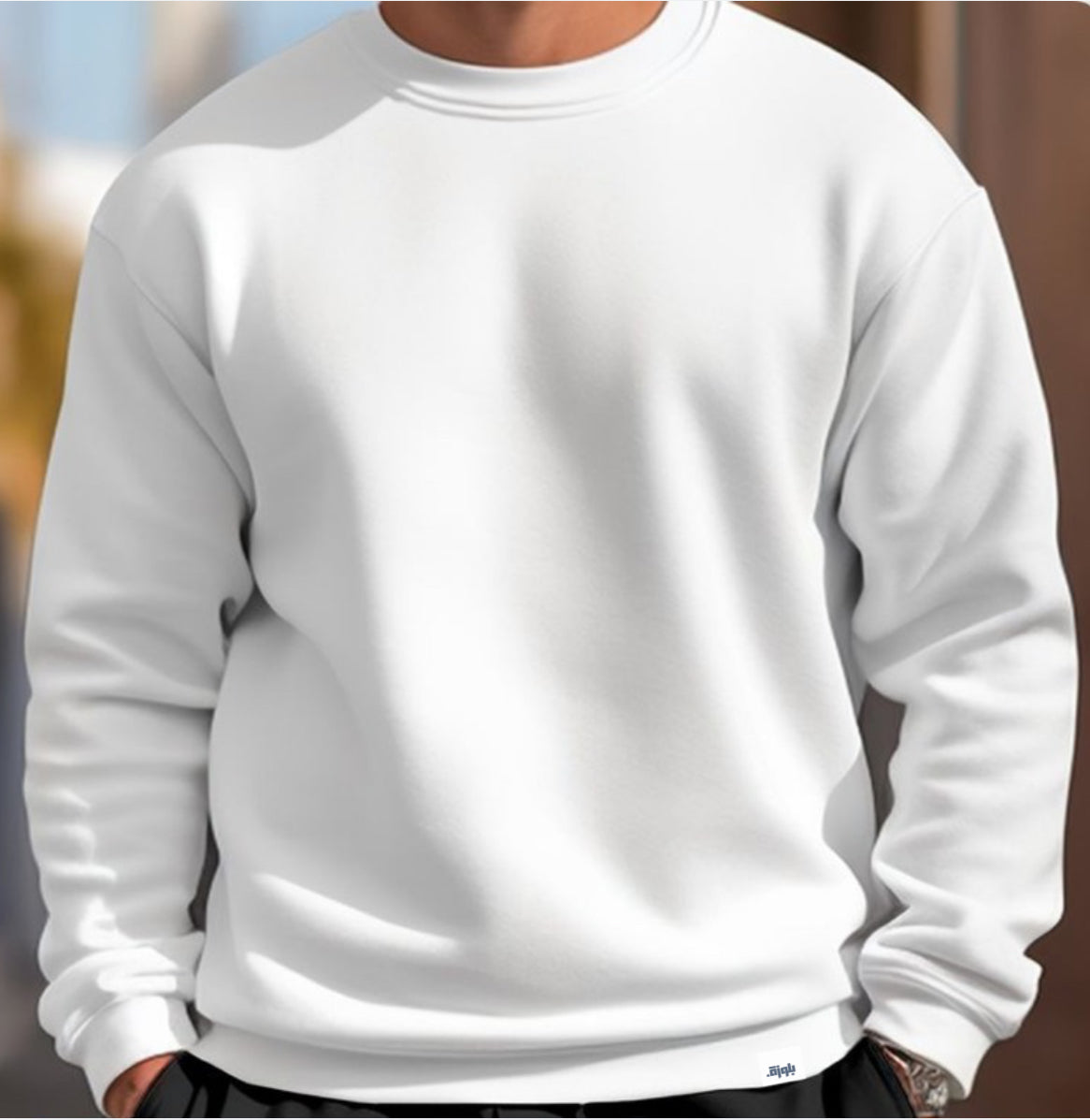 Unisex Crewneck (available in 4 colors)